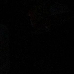 Meet your Posher, Jamar